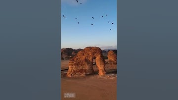 ما تيسر من  سورة النساء للقارئ: حمزة زيتوني