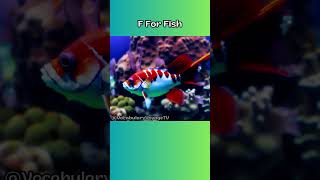 F For Fish, Vocabulary Voyage TV english vocabulary vocabularyvoyage kid fish