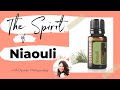 Niaouli Essential Oil for your Next Level