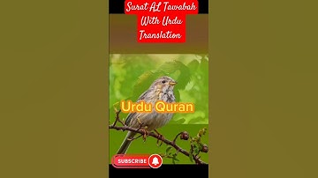 Surah At-Tawbah with Urdu translation is "سورة التوبة" (Surah At-Tawbah)#SurahAtTawbah#urdu#quran