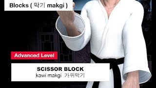 Taekwondo - Scissor Block ( 가위막기 kawi makgi )
