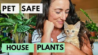 Houseplants Safe for Cats | Plant Tour