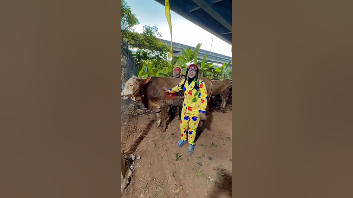 NENEK BELIIN SAPI | NURRAYNI25