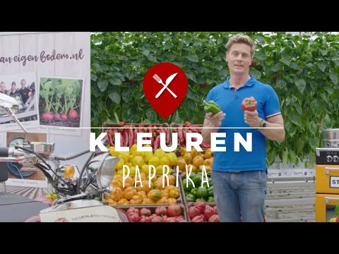 Video: Wat Vertelt De Kleur Van Paprika Jou?