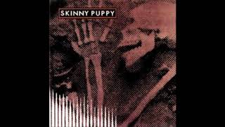 Watch Skinny Puppy Sleeping Beast video