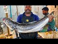 KASIMEDU 🔥 SPEED SELVAM | SEA BIG VIRAL FISH CUTTING VIDEO | IN KASIMEDU | FF CUTTING 🔪