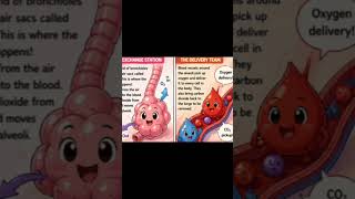 Breathing. #science #animation #chatgpt