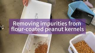 Anysort AI X-ray Machine sorts Peanut