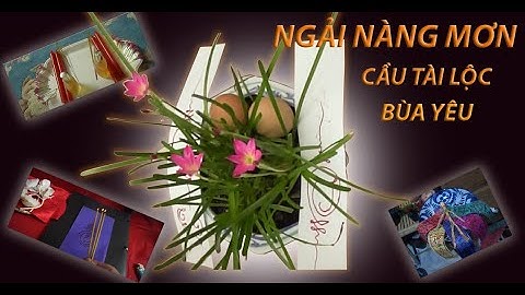 Ngải Nàng Mơn - Cầu Tài- Bùa Yêu