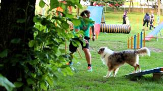 Aiko's practice at agility court by Aiko Aussie 1,165 views 12 years ago 35 seconds