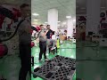 Industrial #collaborative #welding #spraying #six-axis robot#robotfactory #palletizing