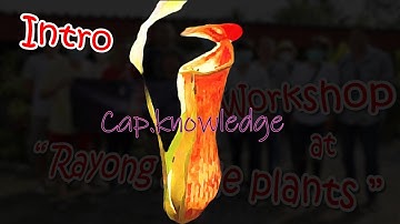 The movie5  workshop ***"intro"***