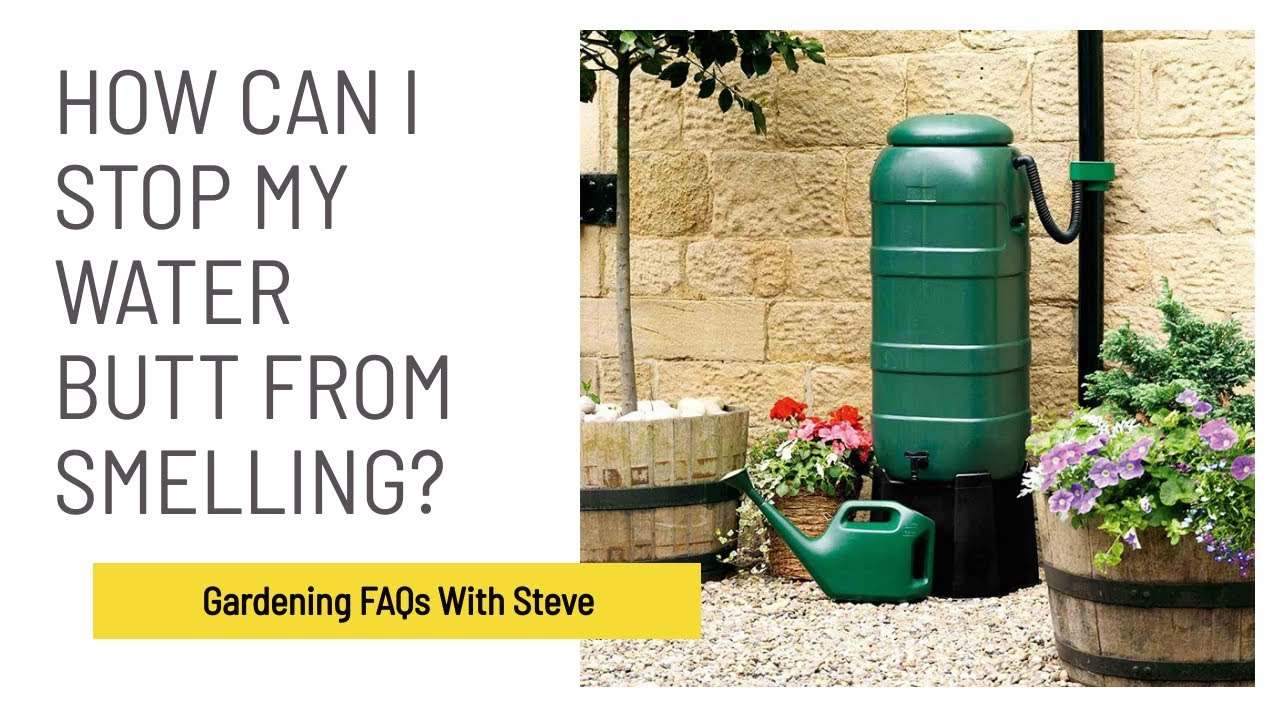 How can I stop my water butt from smelling? Gardening for Beginners