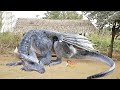 Revenge Of The powerful Dragon MAiden | Full Nollywood Epic Movie | Full African Movie