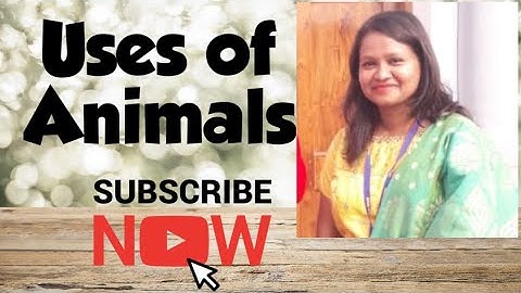 Class-2 | Subject:- Environmental Studies | Chapter-4 Uses of Animals.