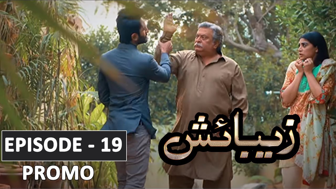 Zebaish Drama Episode 19 Teaser Review | Zebaish Drama Episode 19 - HUM TV Drama