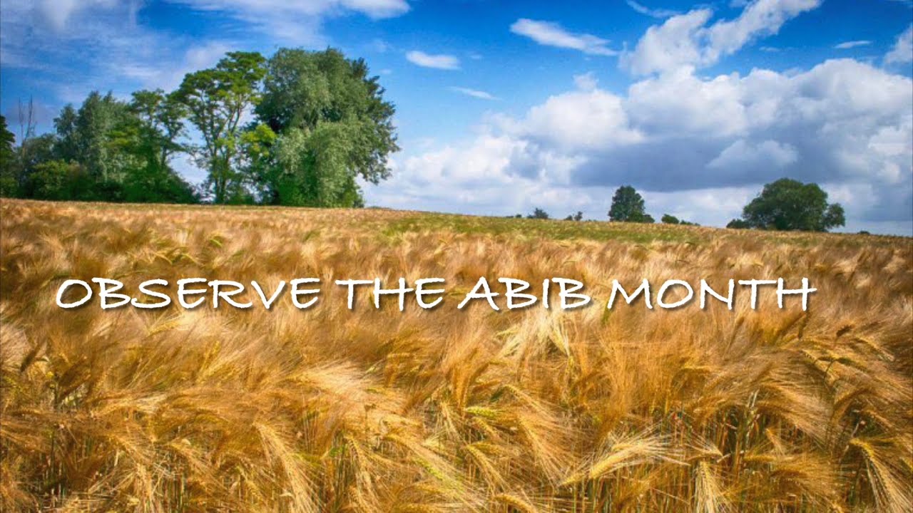 What Does Abib Mean In Hebrew What Does Abib Mean In Hebrew