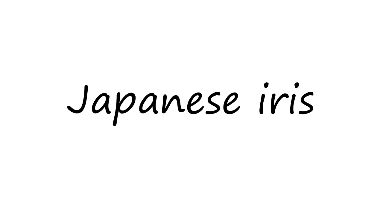 How to Pronounce Japanese iris? YouTube