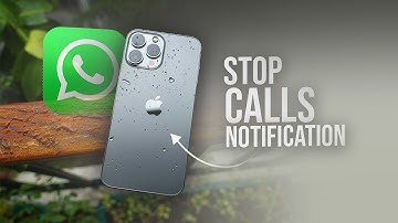 How to Stop Notification of WhatsApp Call on iPhone (explained)