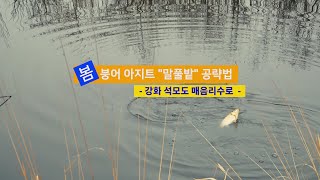 [자연지] 148.봄붕어 아지트 '말풀밭' 공략법  강화 석모도 매음리수로(2024.4.9)(어류정 수정)