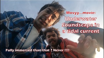 What are those sounds under the pier ?