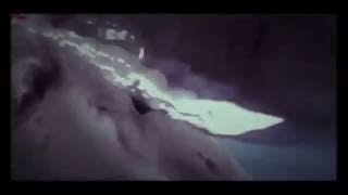 Dehşet Verici Köpekbalığı Saldırıları. .