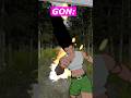 Gon Vs Pitou Hxh Gon Vs Pitou Hxh