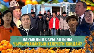 Нарында чычырканак өстүрүүгө 1 миллион доллар бөлүнөт