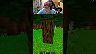 Most ILLEGAL Base In Minecraft History?!😨​🤯​ #minecraft #minecraftshorts #gaming #klproza #funny