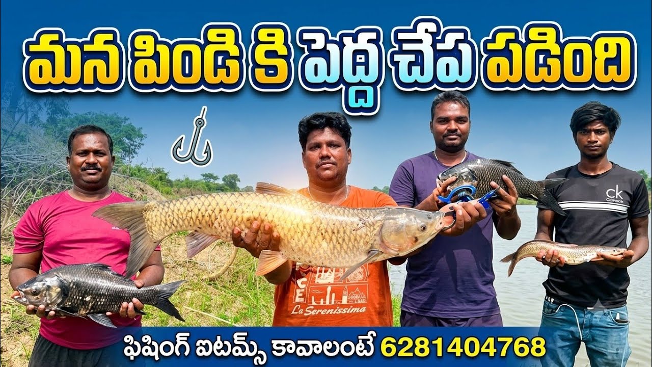 పెద్ద గ్రెస్ కట్ చేప పడింది ఫ్రెండ్స్ #fishing #carpfishing #catlafish