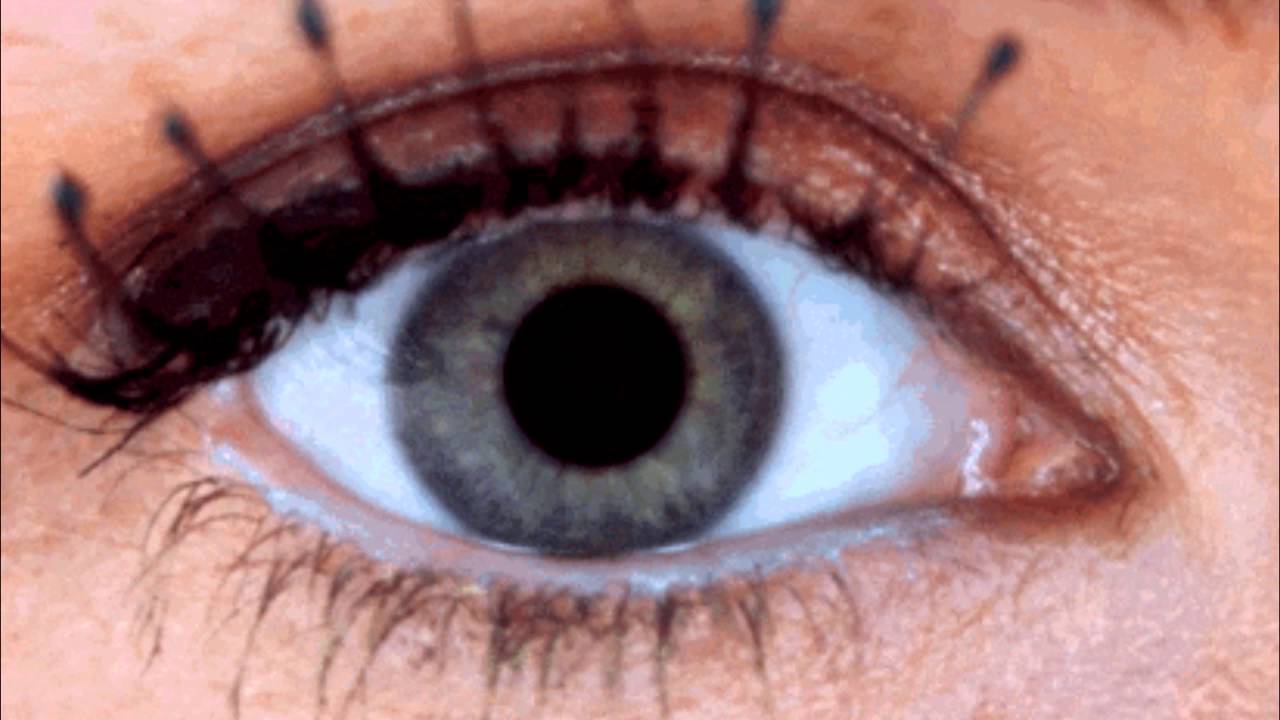 Pouya Scrubs feat Shakewell YouTube