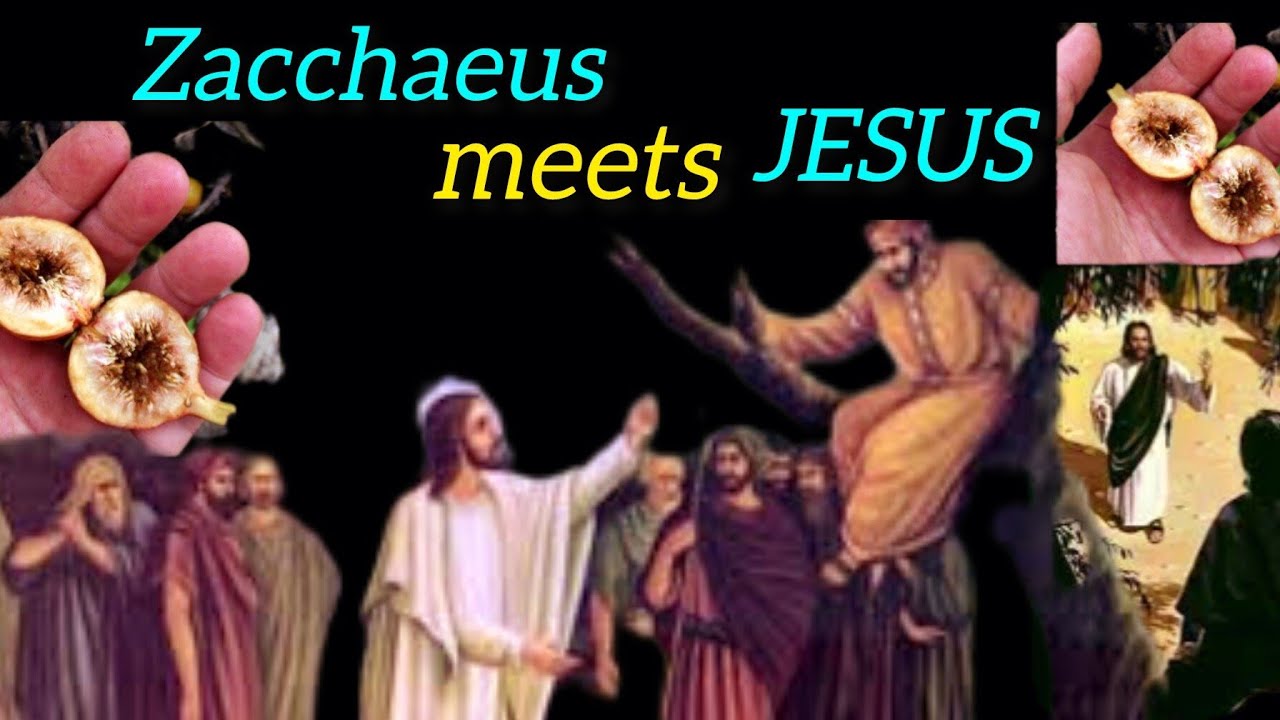 #Zacchaeus
