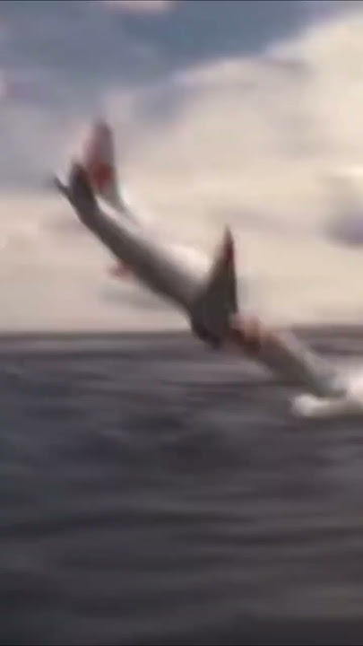 jedag jedug pesawat lion jatuh di air