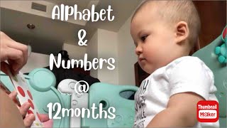 Circle Time (Book, Alphabet, Numbers) | 12months Old by PlayLittleMisters 242 views 2 years ago 5 minutes, 48 seconds