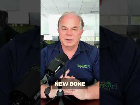 Two cells decide your bone strength