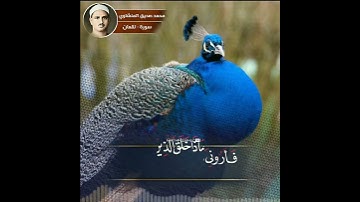 هَذَا خَلْقُ اللَّهِ... / محمد صديق المنشاوي رحمه الله .:سورة لقمان:.