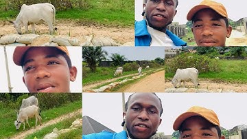 Not All Fulani Are Bandits,I Met A Good One Today, And He Said Stop The K!lling,He Totally Condemned