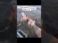 Sinking seadoo recovery team #seadoo #fishpro #jetskicrash #waverunner #pontoon #pwc #sinkingship