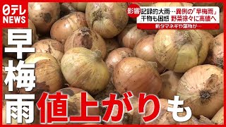 ２～３割“値上がり”も…記録的早さの「梅雨入り」食卓にも影響（2021年5月21日放送「news every.」より）