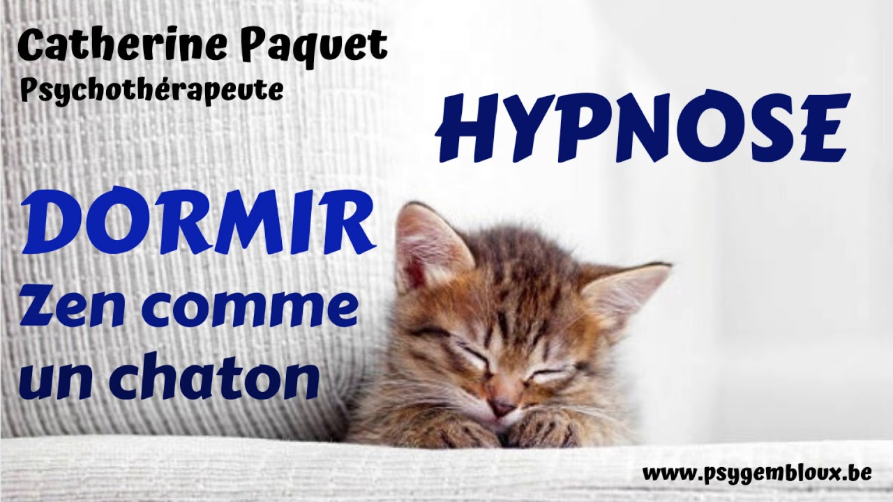 Hypnose Du Sommeil Dormir Zen Comme Un Chaton Youtube