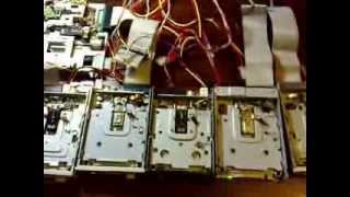 [Floppy] Avast Fluttershy's