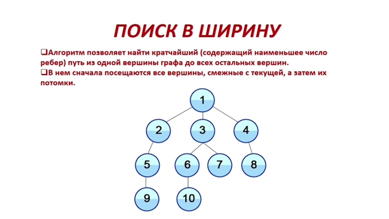 24 10 информатика. Алгоритмы на графах Информатика. Графы Информатика 10 класс. Графы 11 класс Информатика. Информатика 10 класс Алгоритмизация.