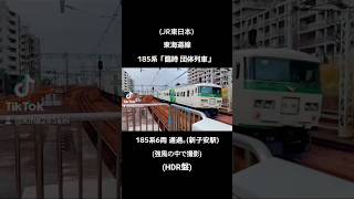 (JR東日本)東海道線185系「臨時団体列車」185系6両 通過｡(新子安駅)(強風の中で撮影)(HDR盤)
