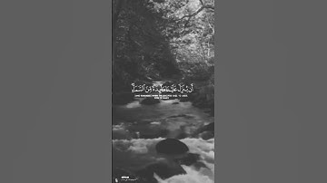 توقف دقيقه واحده استمع للقران الكريم ✋