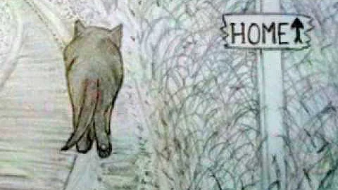 Walking to my Forever Home