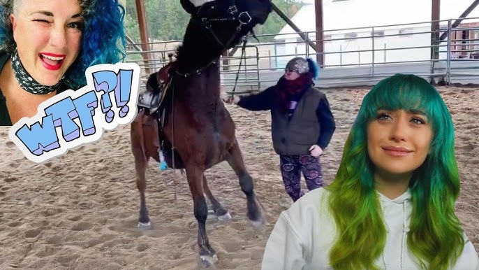 Vegan Horse Riding: Netizens React as New 'Equestrian Sport' Goes Viral -  EssentiallySports