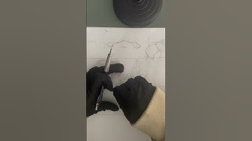 #155  #project_y #storyboarding #animation #wip