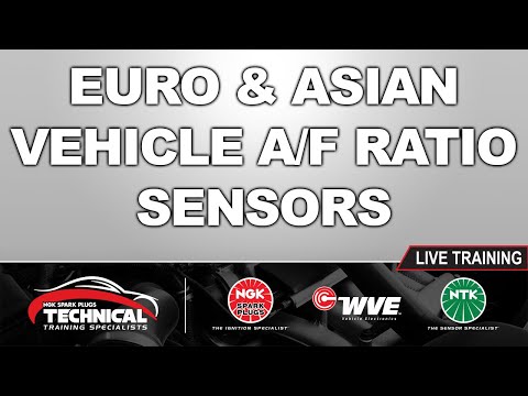 यूरोपीय और एशियाई वाहन वायु / ईंधन अनुपात सेंसर