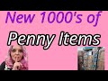 You Missed 1000’s of Penny Items