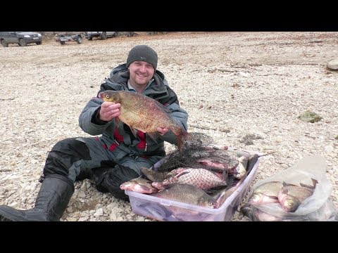 лещ осенью на видео лещ осенью на видео